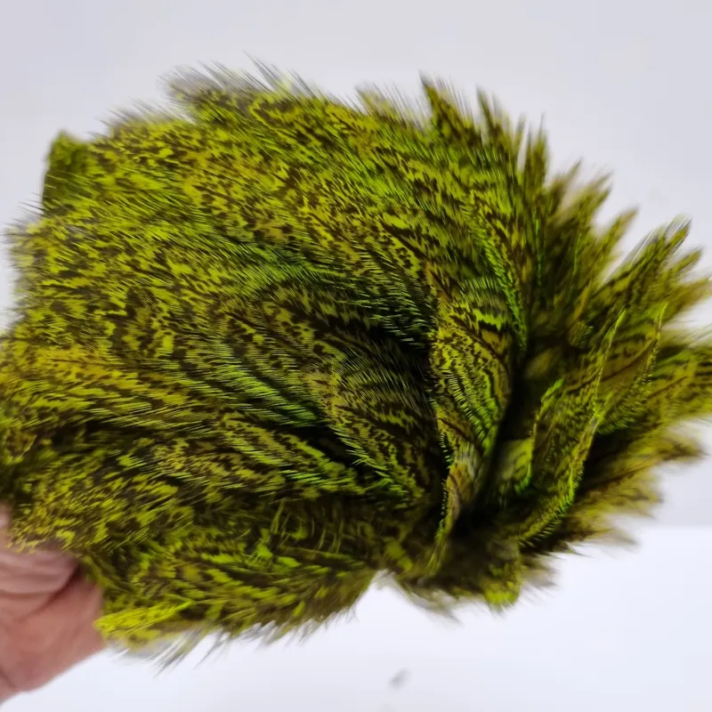 Whiting Coq de Leon Hen Cape in Speckled Fl.Green Chartreuse-10